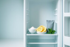 Buzdolabı Kokusu Nasıl Geçer?